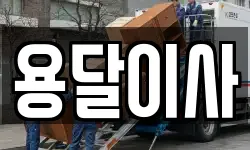 용달이사