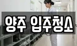 양주 입주청소