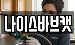 나이스바브캣