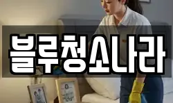 블루청소나라
