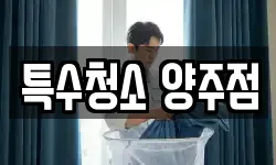 특수청소 양주점