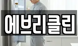 에브리클린