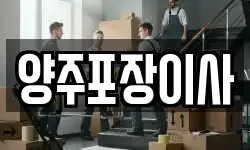 양주포장이사
