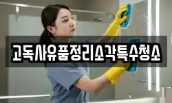 고독사유품정리소각특수청소