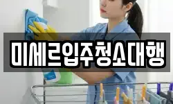 미세르입주청소대행