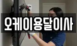 오케이용달이사