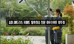 쇼파,매트리스,카페트 탈취청소 전문 하우스위프 양주점