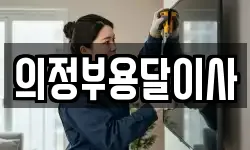 의정부용달이사