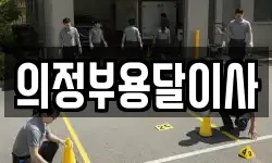 의정부용달이사