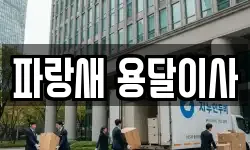 파랑새 용달이사