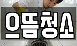 으뜸청소