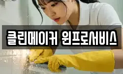클린메이커 윈프로서비스
