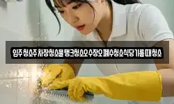 경기도 양평군 양동면 청소,입주청소,사무실청소,에어컨청소
