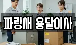 경기도 양평군 양평읍 이사,용달이사,포장이사,원룸이사,보관이사