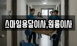 스마일용달이사,원룸이사