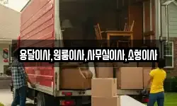 용달이사,원룸이사,사무실이사,소형이사