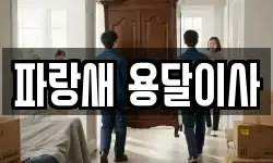 파랑새 용달이사