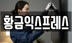 황금익스프레스