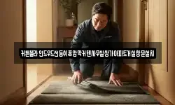 커튼블라인드우드전동쉬폰암막커텐사무실상가아파트거실창문설치