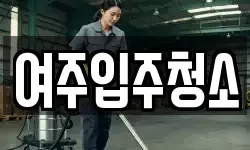 여주입주청소