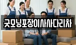 굿모닝포장이사사다리차