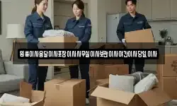 원룸이사용달이사포장이사사무실이사보관이사야간이사당일이사