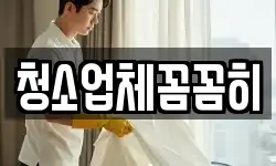 경기도 연천군 왕징면 청소,입주청소,사무실청소,에어컨청소