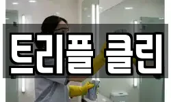 트리플 클린