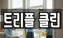 트리플 클린