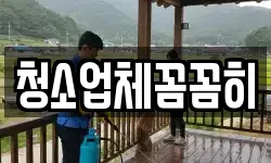 청소업체꼼꼼히