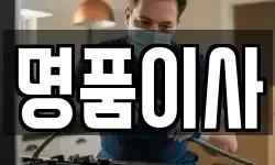 명품이사