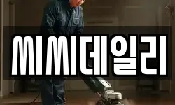 씨씨데일리