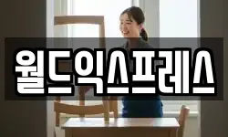 월드익스프레스