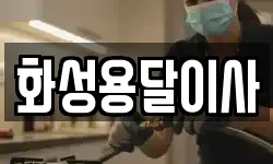 화성용달이사