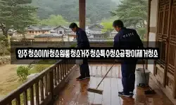 입주청소이사청소원룸청소거주청소특수청소곰팡이제거청소