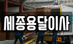 세종용달이사