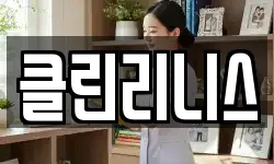 클린리니스