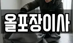 올포장이사
