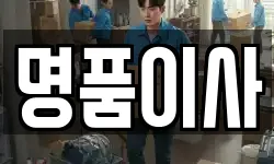 명품이사