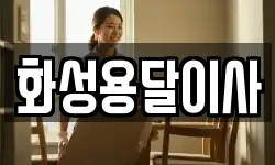 화성용달이사