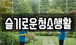 슬기로운청소생활