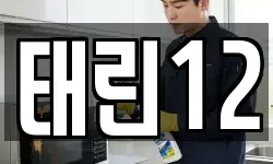 태린12