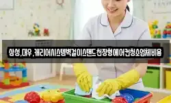 삼성,대우,캐리어시스템벽걸이스탠드천장형에어컨청소업체비용