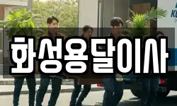 화성용달이사