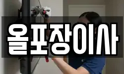 올포장이사