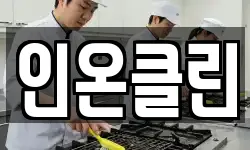 인온클린