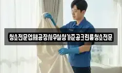 청소전문업체공장사무실상가준공크린룸청소전문