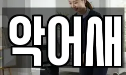 악어새
