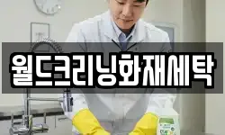 월드크리닝화재세탁