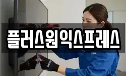 플러스원익스프레스